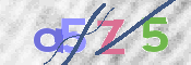 Obraz CAPTCHY